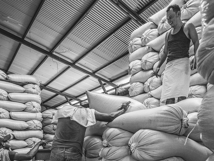 Fresh Catuaí Rojo lots drying at the wet mill